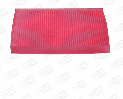 Filter, cabin air (CCF0094B)