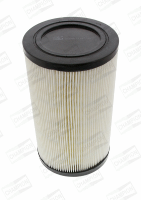 Air Filter (CAF100439C)