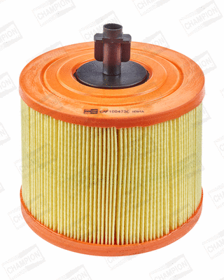 Air Filter (CAF100473C)