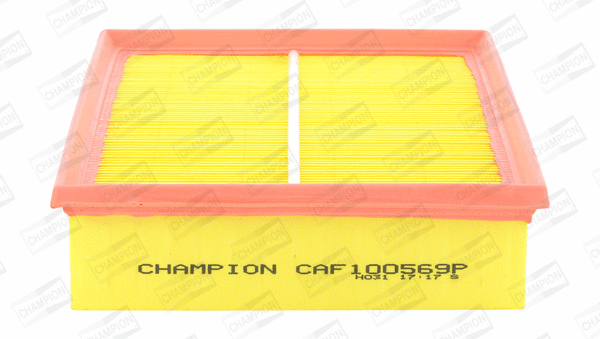 Air Filter (CAF100569P)