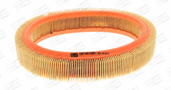 Air Filter (CAF100153R)