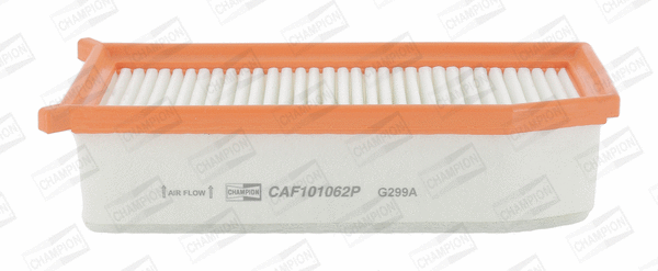 Air Filter (CAF101062P)