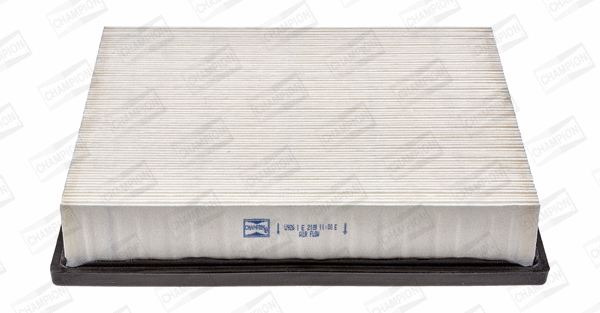 Air Filter (CAF100926P)