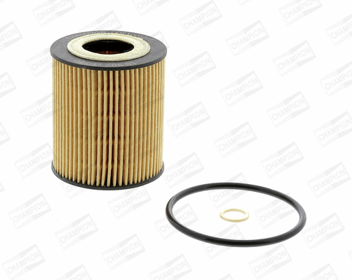 Oil Filter (COF100528E)