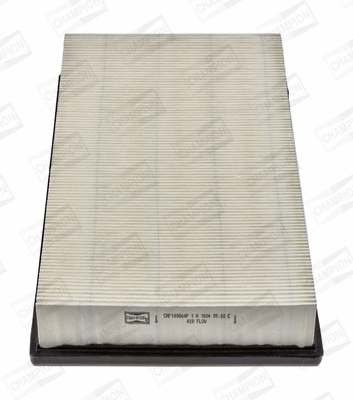 Air Filter (CAF100864P)