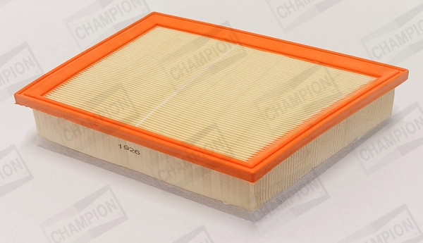 Air Filter (CAF101358P)