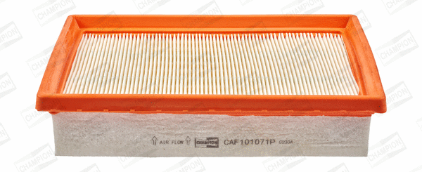 Air Filter (CAF101071P)