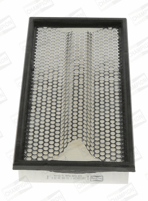 Air Filter (CAF100672P)