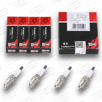 Spark Plug