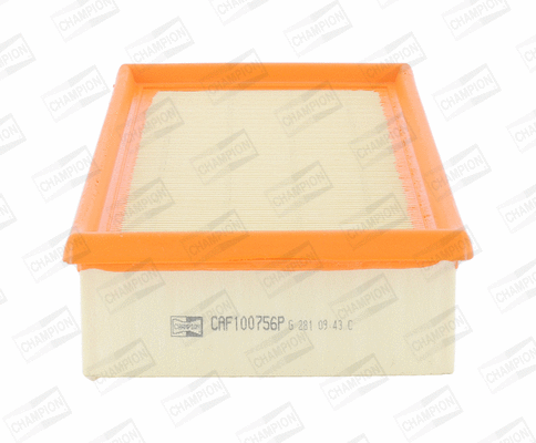 Air Filter (CAF100756P)
