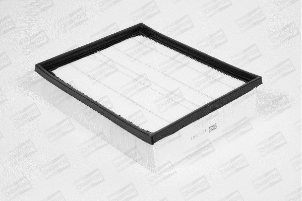 Air Filter (U866/606)