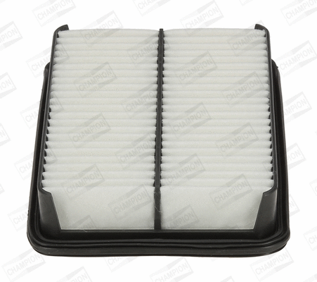 Air Filter (CAF100676P)