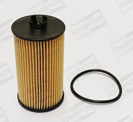 Oil Filter (COF100713E)