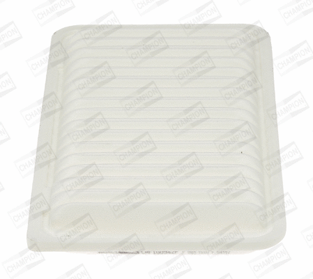 Air Filter (CAF100942P)