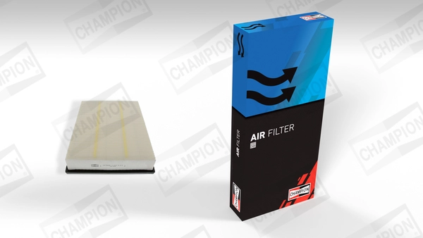 Air Filter (CAF100868P)