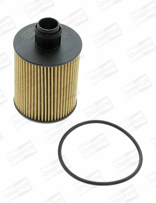 Oil Filter (COF100600E)