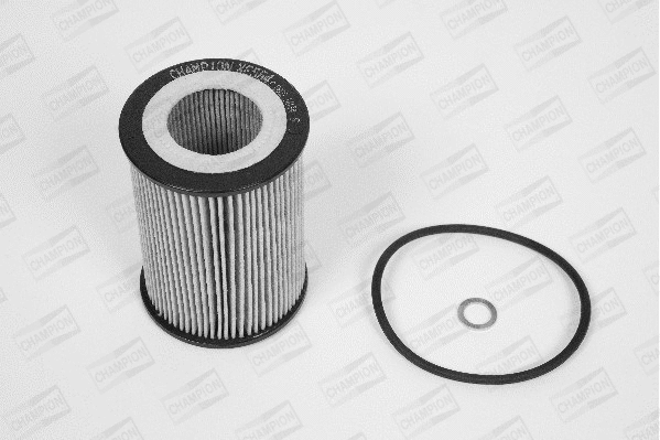 Oil Filter (XE564/606)