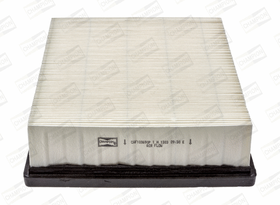Air Filter (CAF100690P)