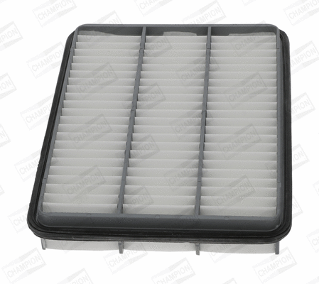 Air Filter (CAF100964P)