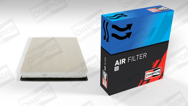 Air Filter (CAF100770P)