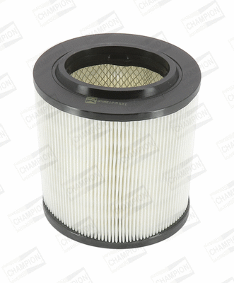 Air Filter (CAF100450C)