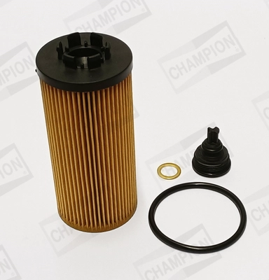 Oil Filter (COF100698E)