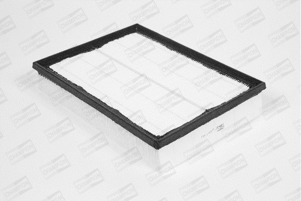 Air Filter (U868/606)