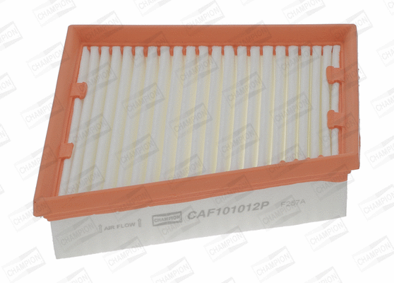 Air Filter (CAF101012P)