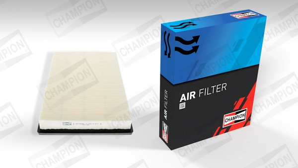 Air Filter (CAF100554P)