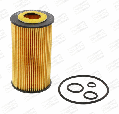 Oil Filter (COF100509E)