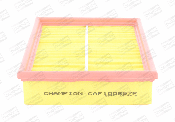 Air Filter (CAF100857P)