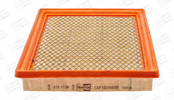 Air Filter (CAF100665P)