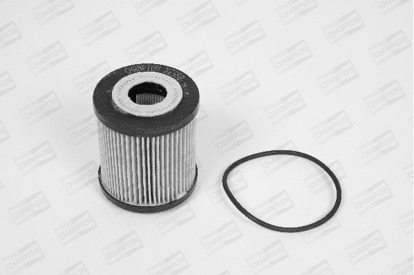 Oil Filter (XE558/606)