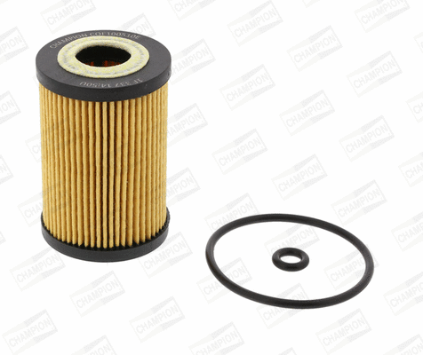 Oil Filter (COF100510E)