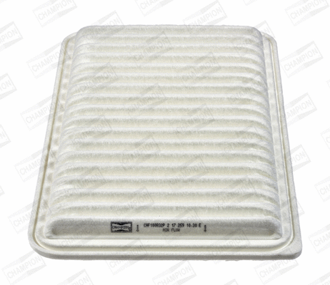 Air Filter (CAF100832P)
