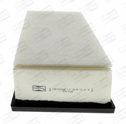 Air Filter (CAF100724P)