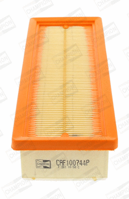 Air Filter (CAF100744P)