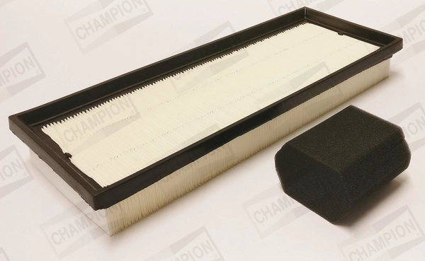 Air Filter (CAF101257P)
