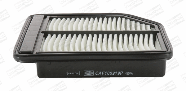 Air Filter (CAF100919P)