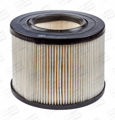 Air Filter (CAF100212R)