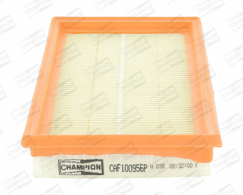 Air Filter (CAF100956P)