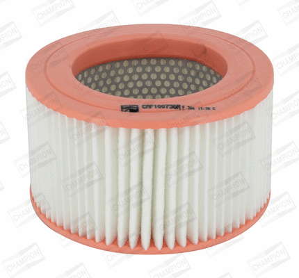 Air Filter (CAF100736R)