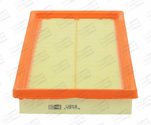 Air Filter (CAF100858P)