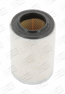 Air Filter (CAF100496R)