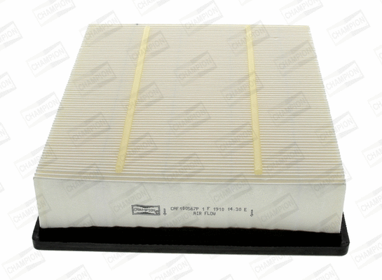 Air Filter (CAF100567P)