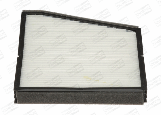 Filter, cabin air (CCF0065)