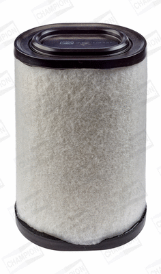 Air Filter (CAF100476C)