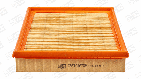 Air Filter (CAF100678P)