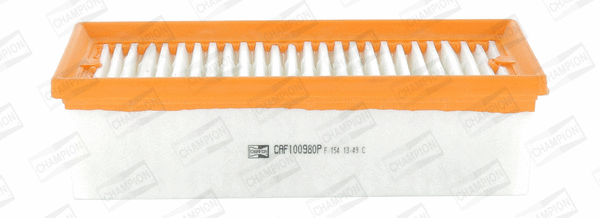 Air Filter (CAF100980P)