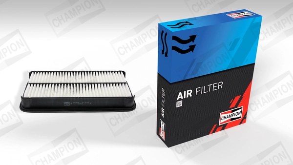 Air Filter (CAF100565P)